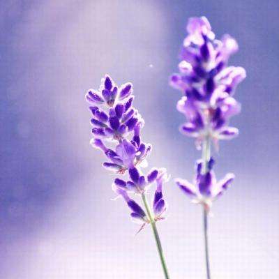 KU体育官方app下载